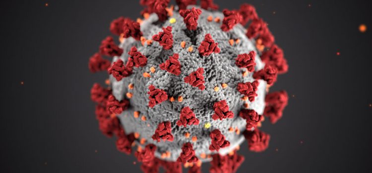 Le Cluster et le CORONAVIRUS