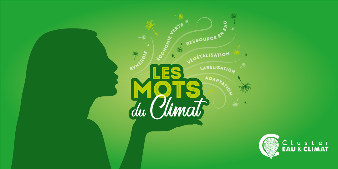 LES-MOTS-DU-CLIMAT-2021